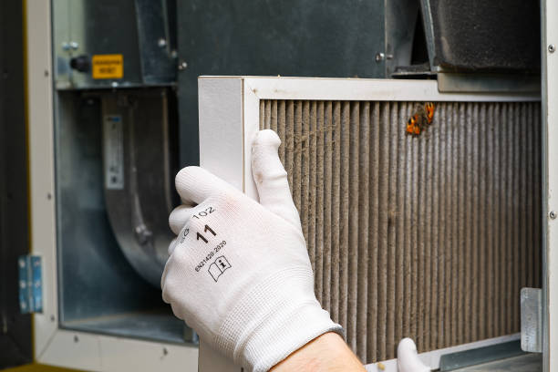 Best Ductwork Cleaning Services  in Poplar Grove, IL