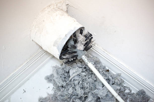 Best Local Air Duct Cleaning Services  in Poplar Grove, IL